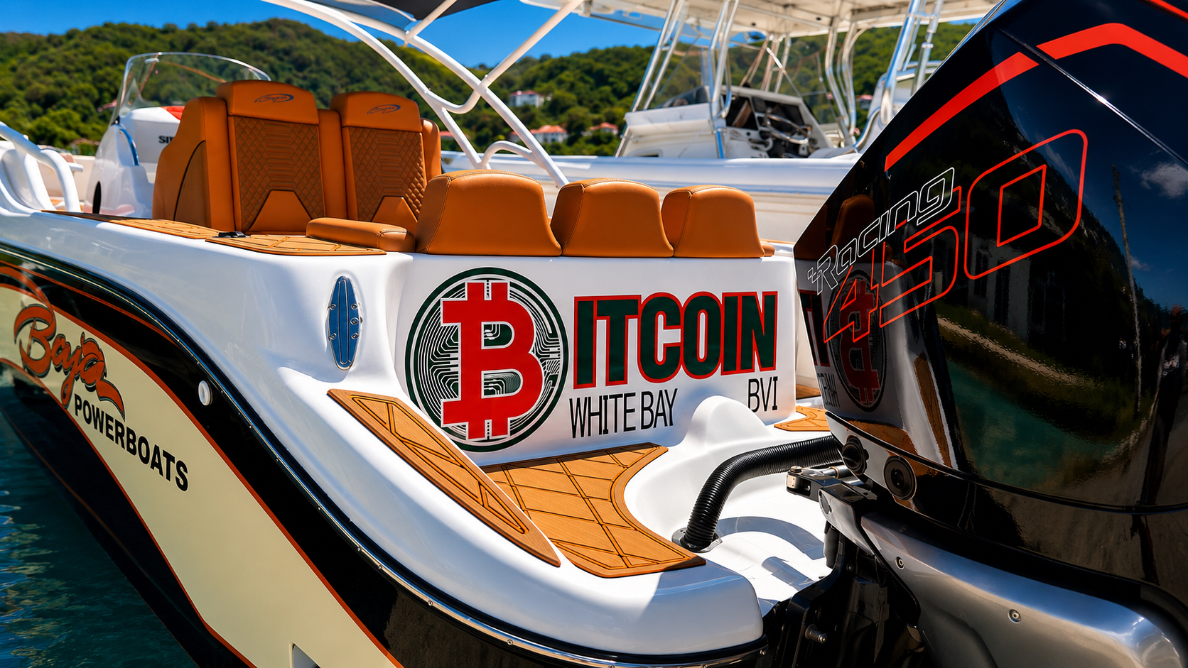 Boat cockpit and helm